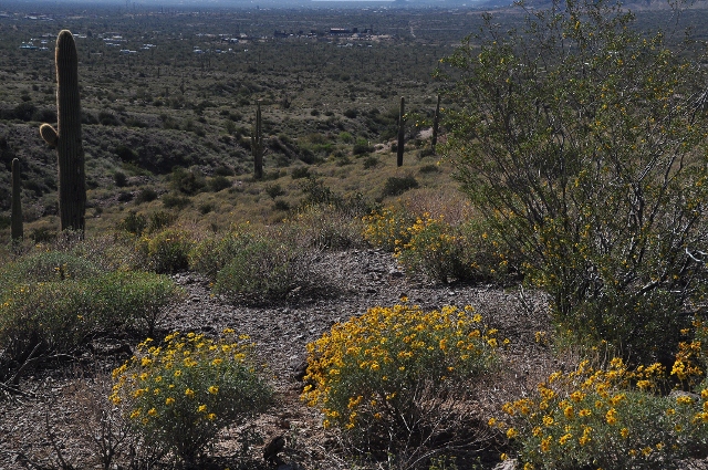 the vista from the trail
